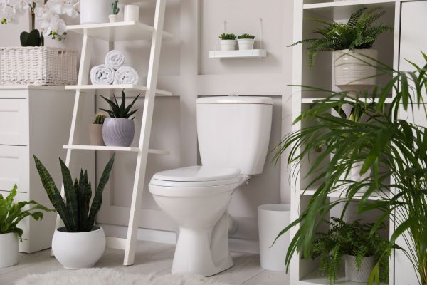 Cost of Toilet Repair in Yonkers